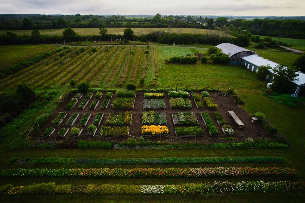 Farm garden and flower field Overhead